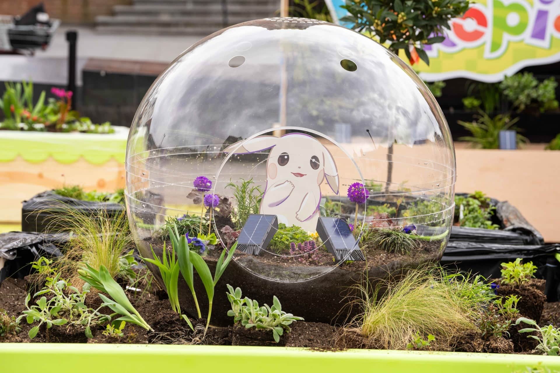 Article: Pokémon Company Unveils Pokopia-Themed Garden in London